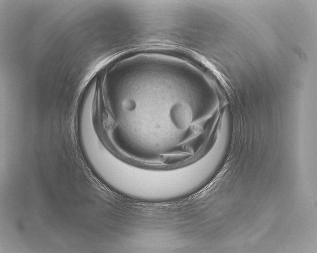 X0000115801461200912041523