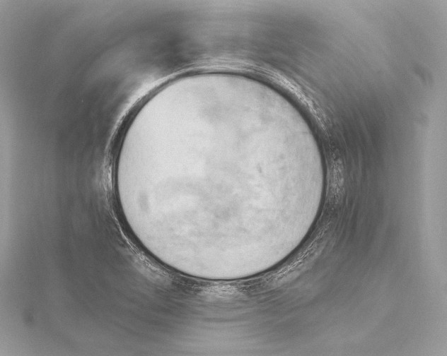 X0000115801462200912041523