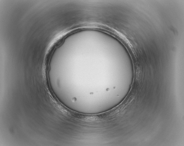 X0000115801464200912041523