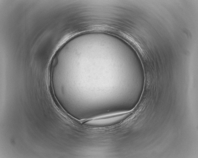 X0000115801467200912041523