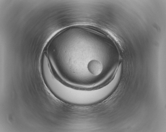 X0000115801468200912041523