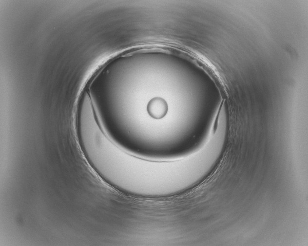 X0000115801472200912041523