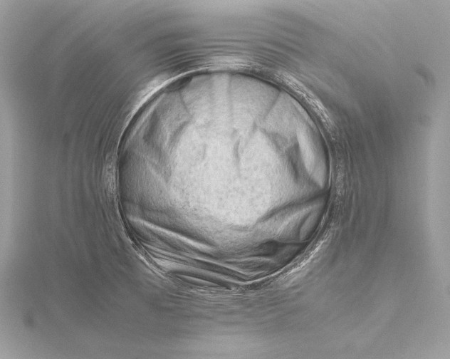 X0000115801473200912041523