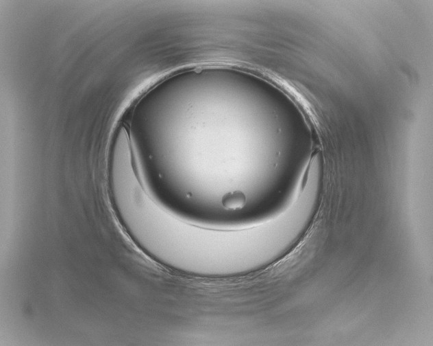 X0000115801477200912041523