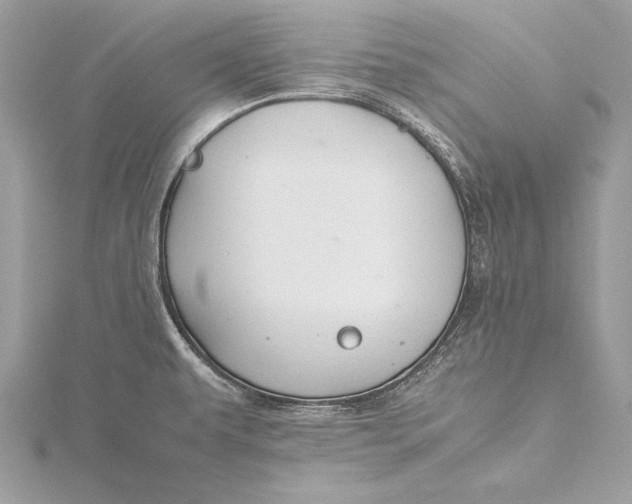 X0000115801479200912041523