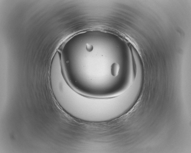 X0000115801481200912041523