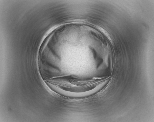 X0000115801482200912041523