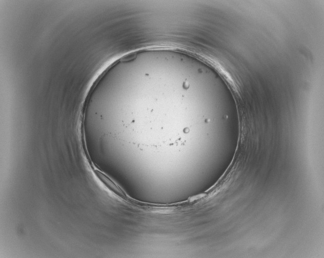 X0000115801484200912041523