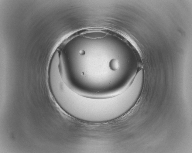 X0000115801485200912041523