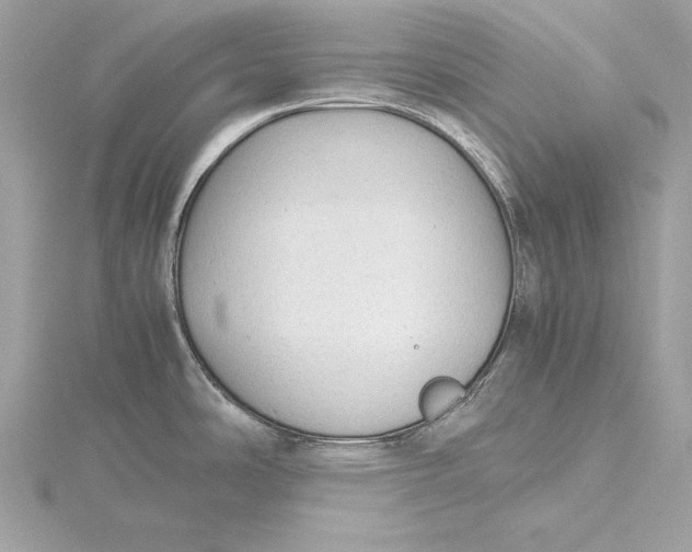 X0000115801486200912041523