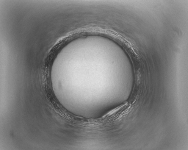 X0000115801494200912041522