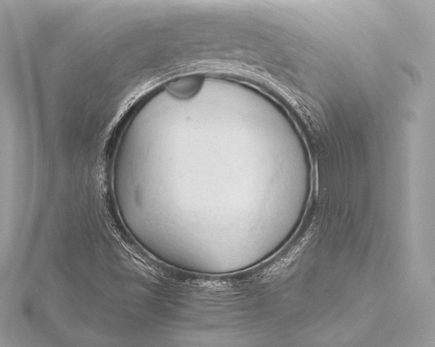 X0000115801501200912041522