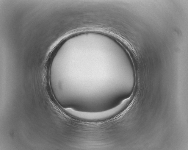 X0000115801502200912041522