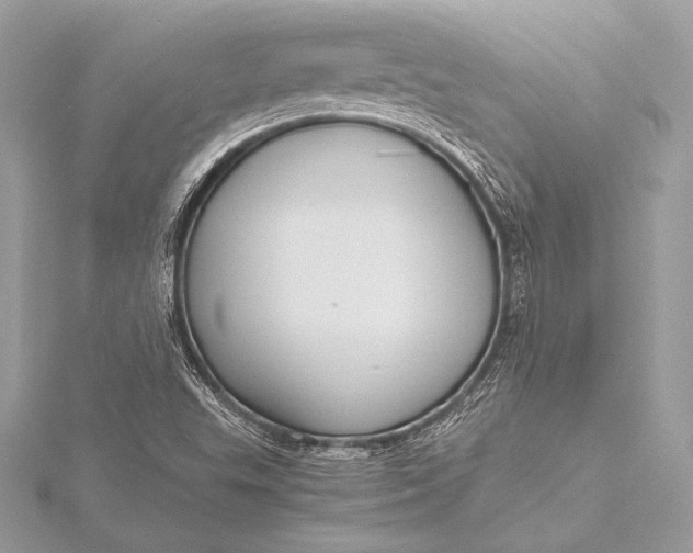 X0000115801503200912041522