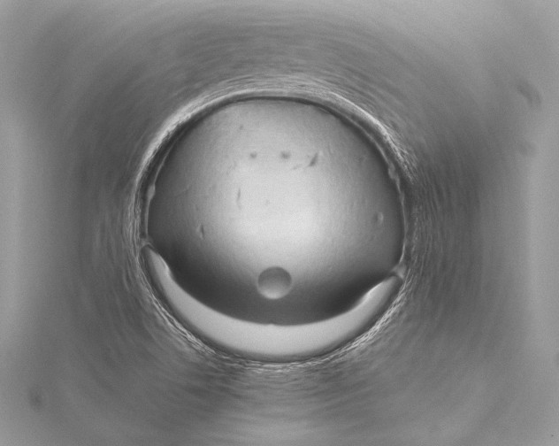 X0000115801506200912041523