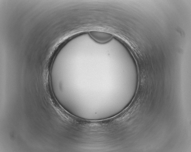 X0000115801507200912041523