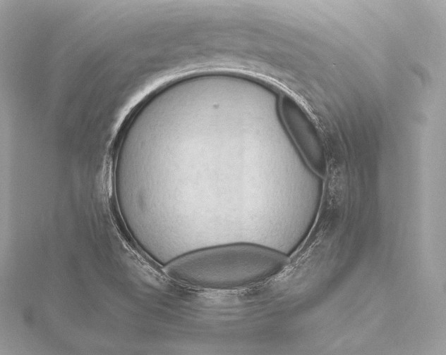 X0000115801510200912041523