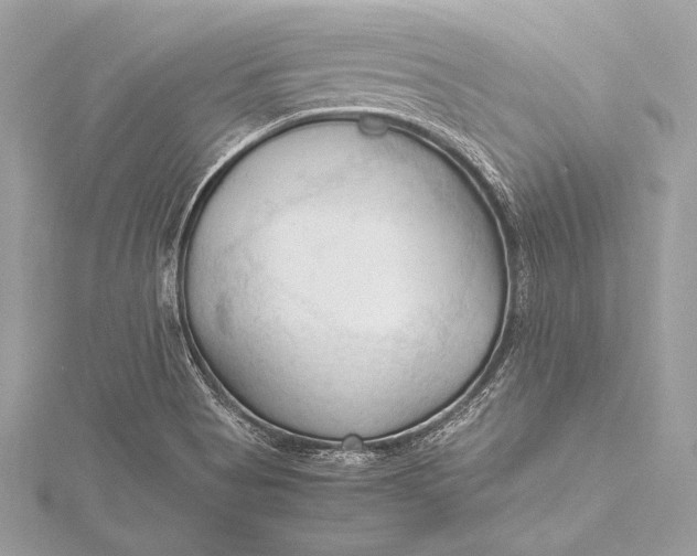 X0000115801513200912041523