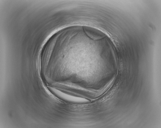 X0000115801515200912041523