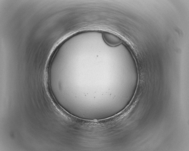 X0000115801517200912041523