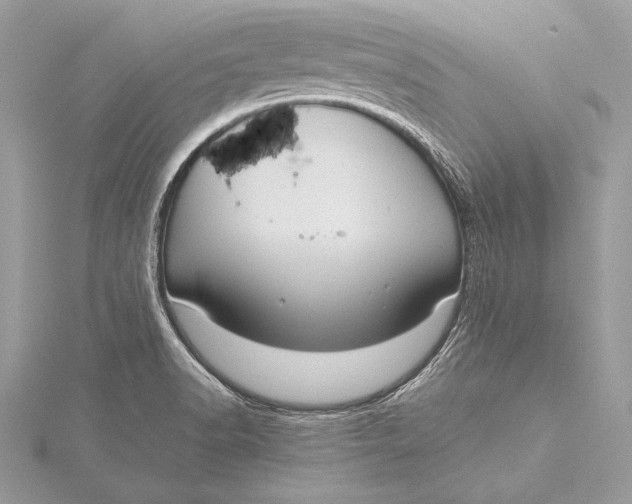 X0000115801518200912041523