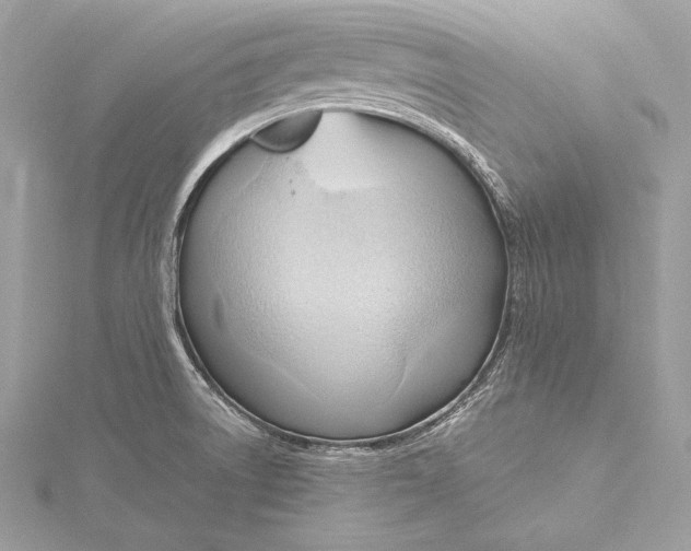 X0000115801522200912041523