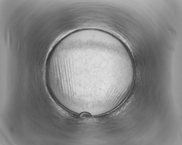 X0000115801525200912041523