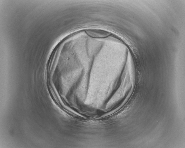 X0000115801527200912041523