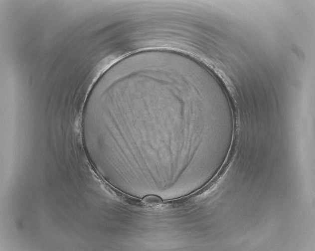 X0000115801529200912041523