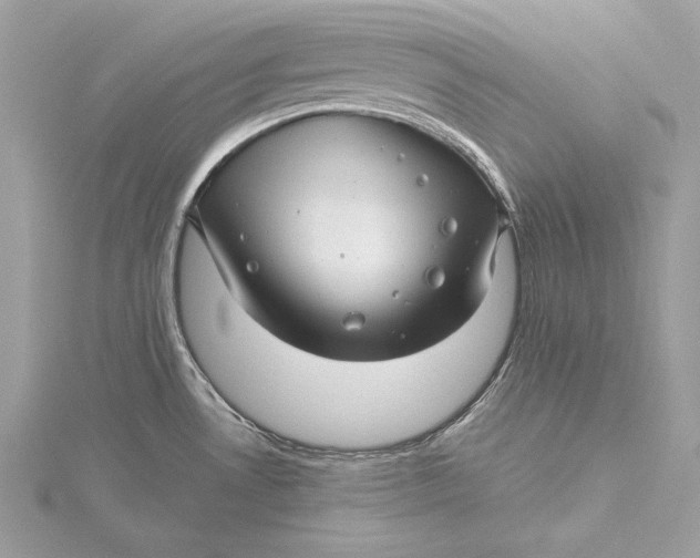 X0000115801530200912041523