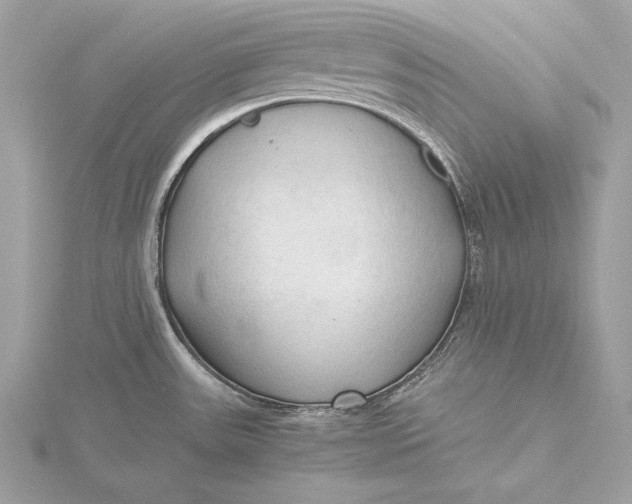 X0000115801531200912041523