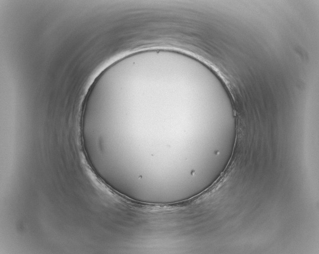 X0000115801534200912041523