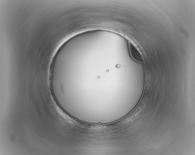 X0000115801535200912041523