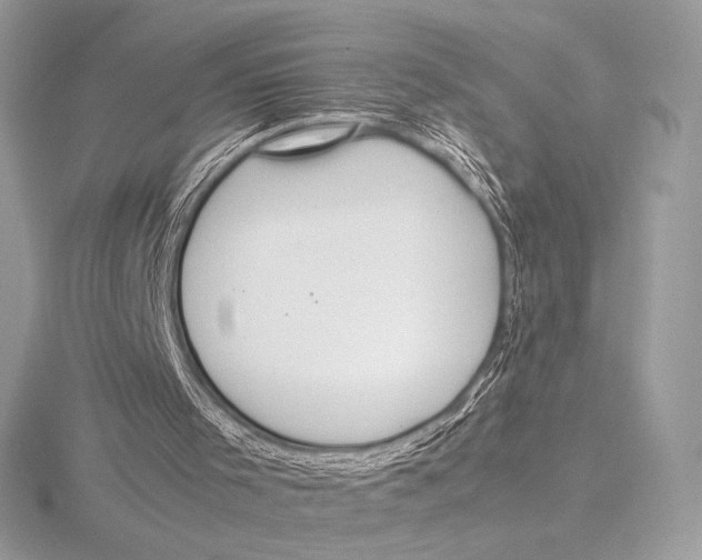 X0000115800001200912111219