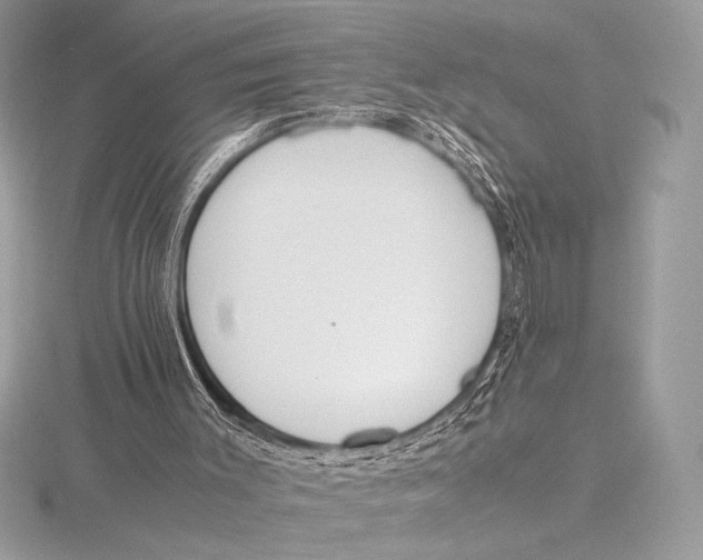 X0000115800003200912111219