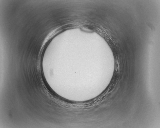 X0000115800004200912111219