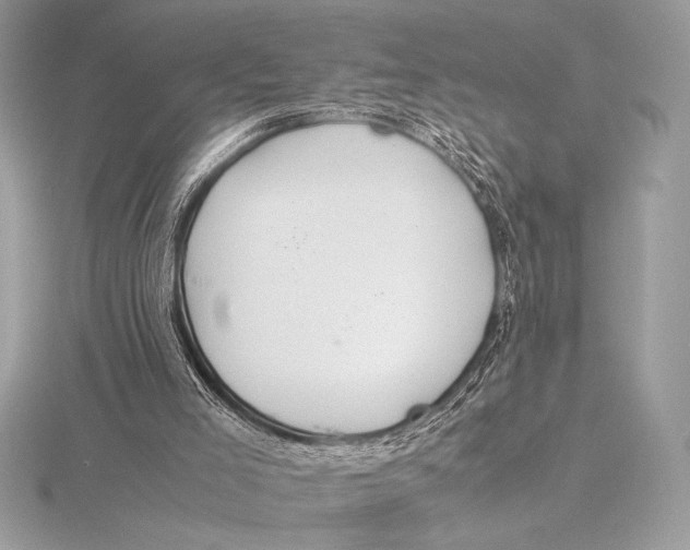 X0000115800005200912111219