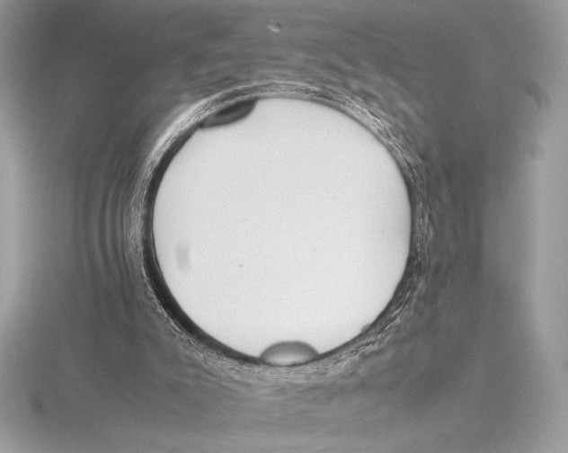 X0000115800007200912111219