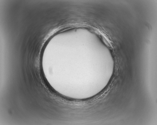 X0000115800008200912111219