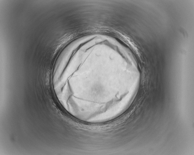 X0000115800010200912111219