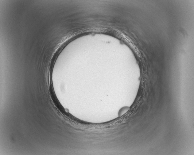 X0000115800011200912111219