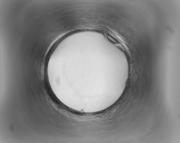 X0000115800012200912111219