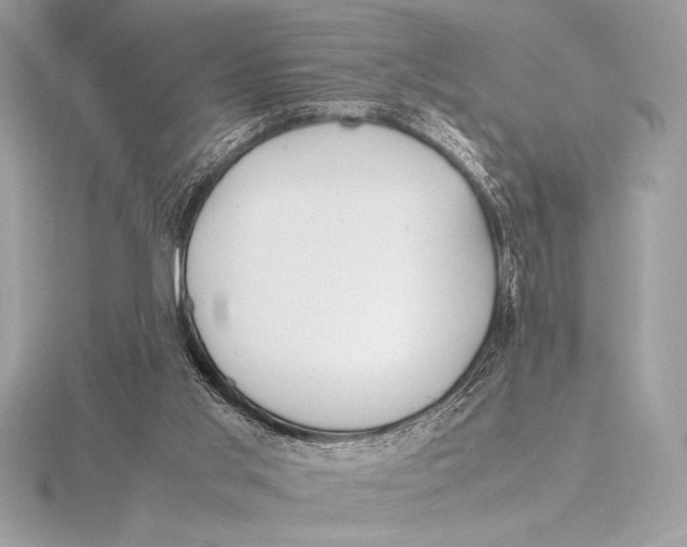 X0000115800013200912111219