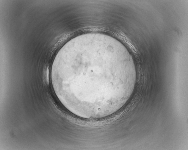 X0000115800014200912111219