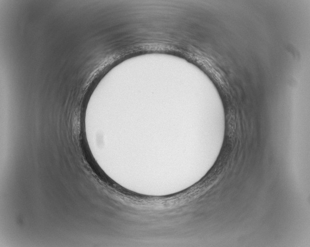 X0000115800015200912111219