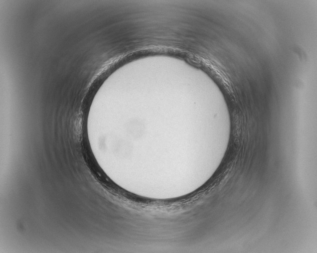 X0000115800016200912111219