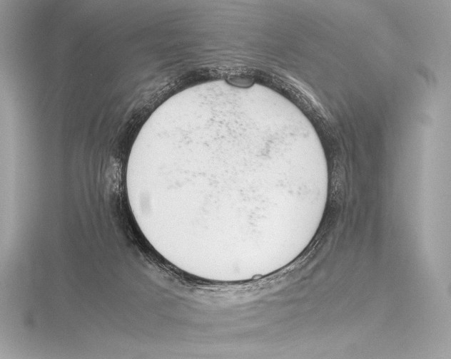 X0000115800025200912111218