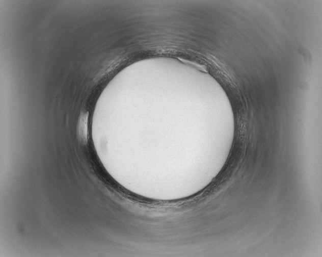 X0000115800028200912111218