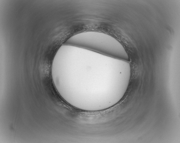 X0000115800033200912111218