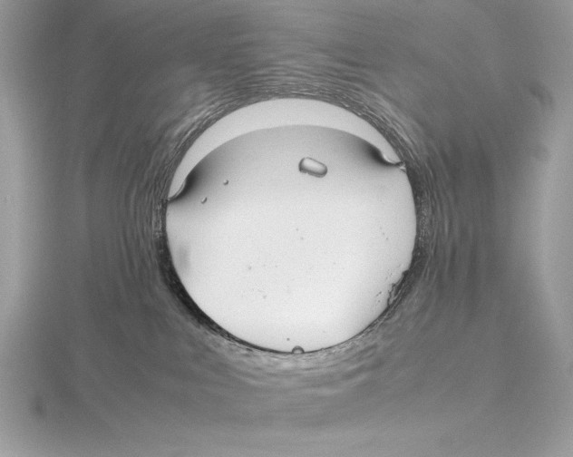 X0000115800043200912111218